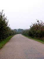 appeldijk