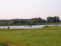 lek